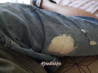 AlphaWanker