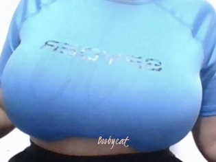 Boobycat