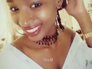 CocoSA