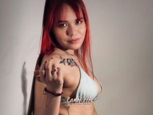Camilittle