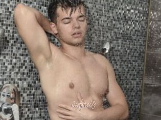 Codyneils