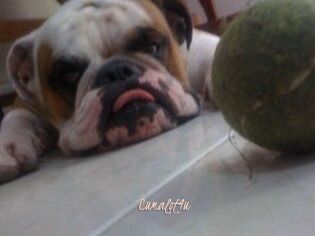 Cumalot4u