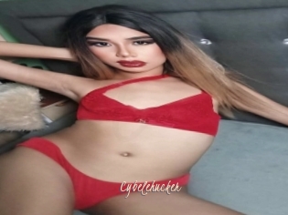 Cybelehucker