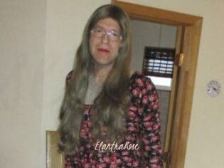 Elantra_Rose
