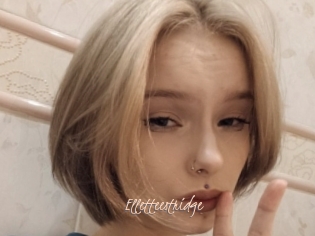 Elletteestridge