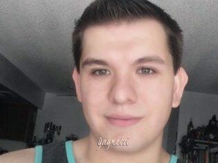 Gaymeboi