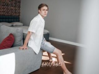 HARRY_DAVES Sexenmacht