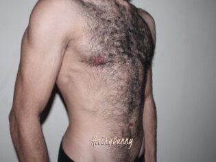 HairyBunny