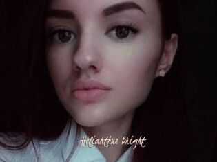 Helianthus_Bright