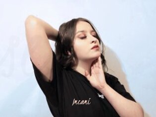 Imcami