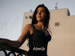 Neleanila