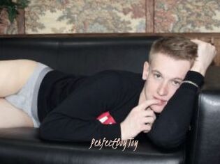 PerfectBoyToy