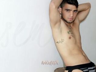 RobinHUNK
