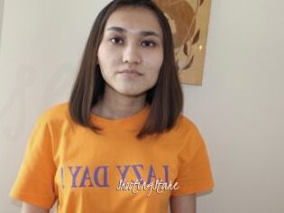 ShootingStare