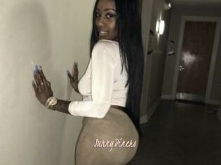 SunnyDinero