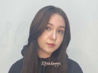 Silverbagge