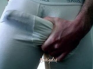 Stivbigdick