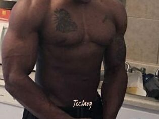 TecSavy