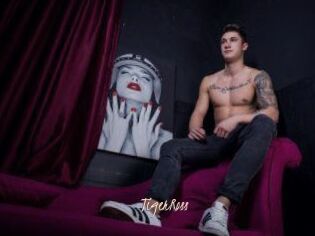 TigerRoss Sexenmacht
