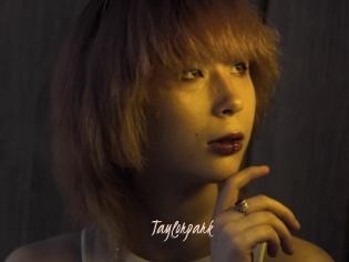 Taylorpark