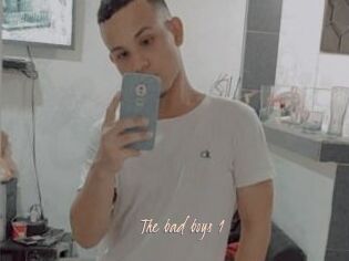 The_bad_boys_1
