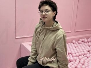 Udelabodge